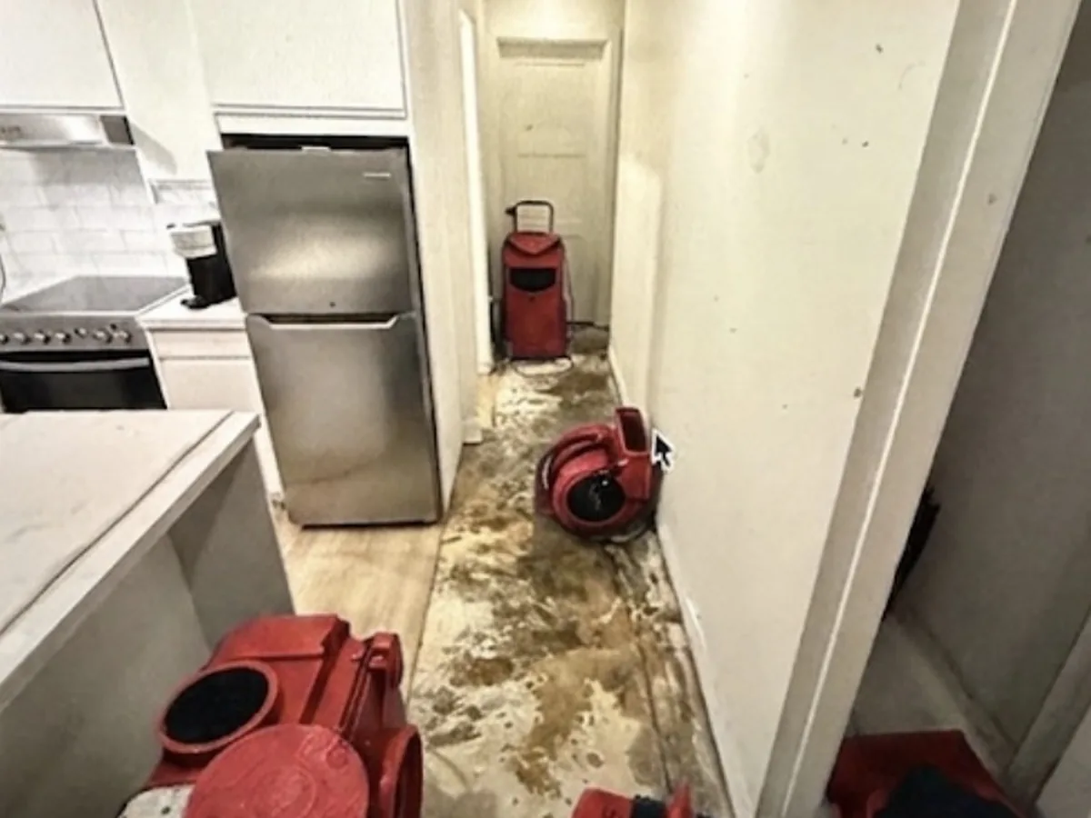 Air movers and an air scrubber drying a hallway and kitchen with the ceiling removed after a water loss