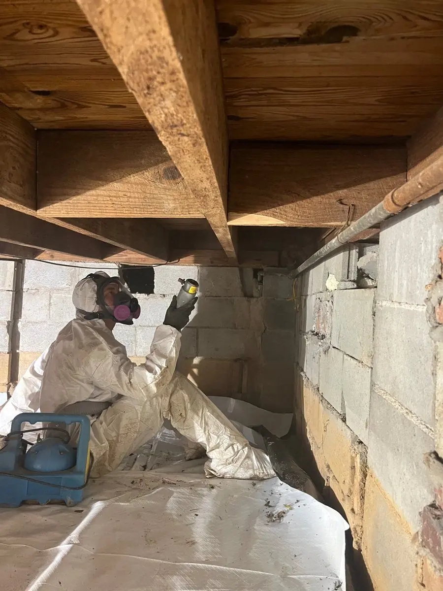 Mold growth before remediation
